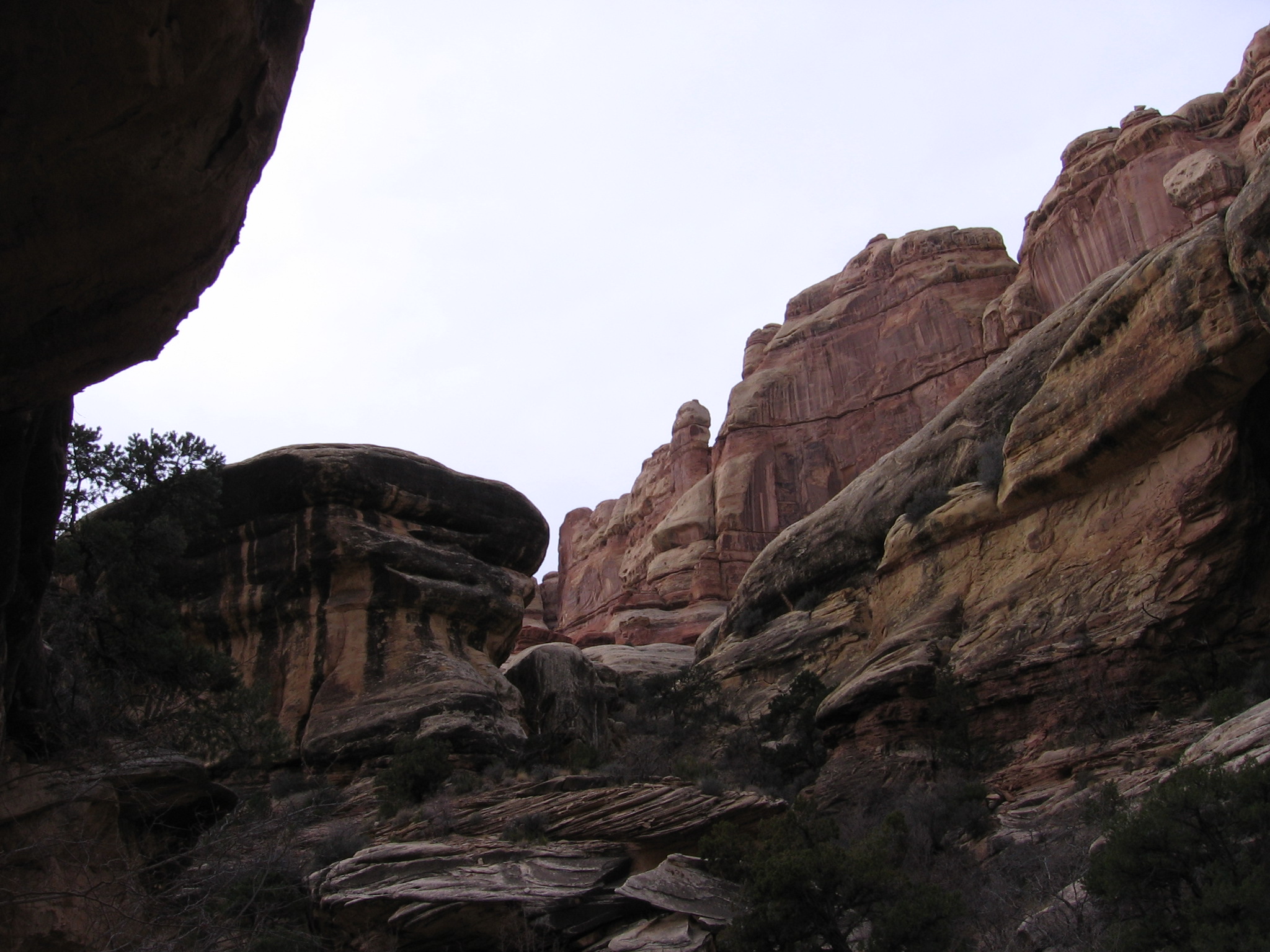 elephant canyon on the way to druid arch