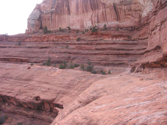 big outcropping and ground