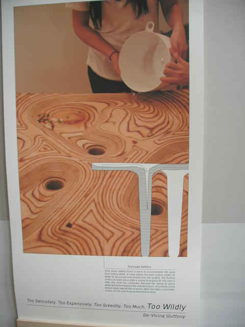 Poster #5: "Drainage Pattern"